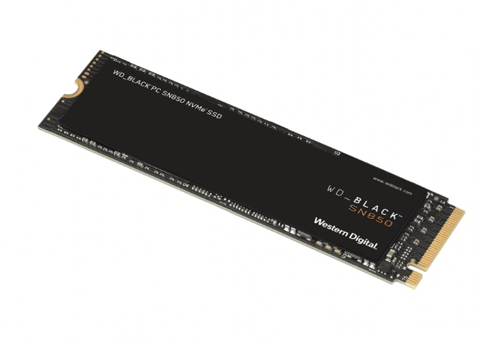 WDS500G1X0E