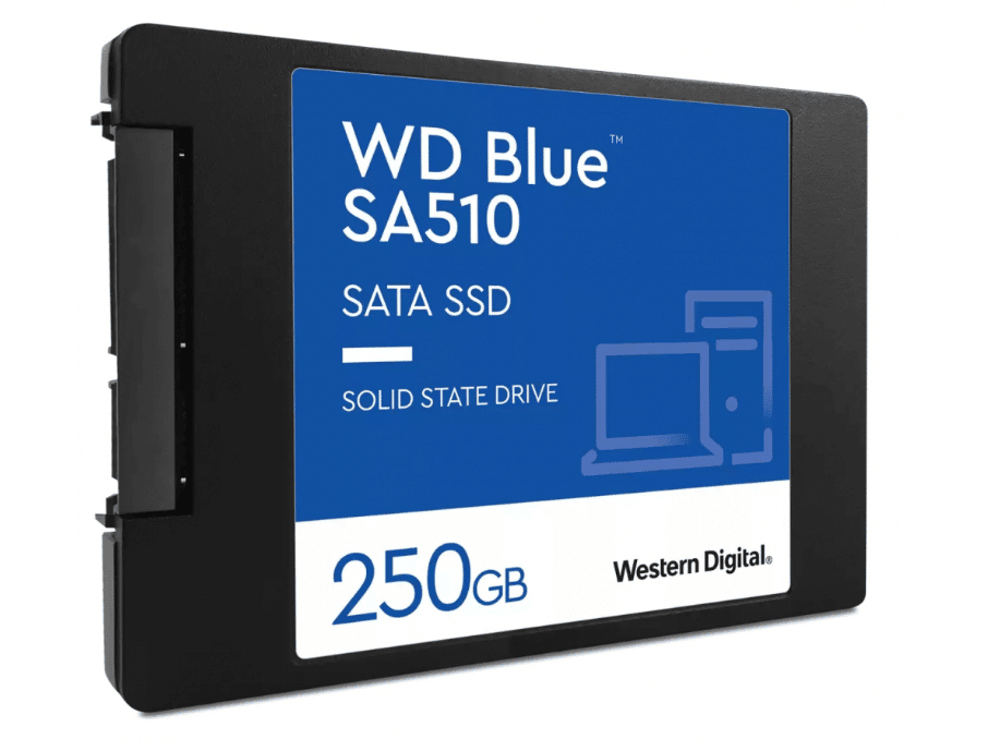 WDS250G3B0A