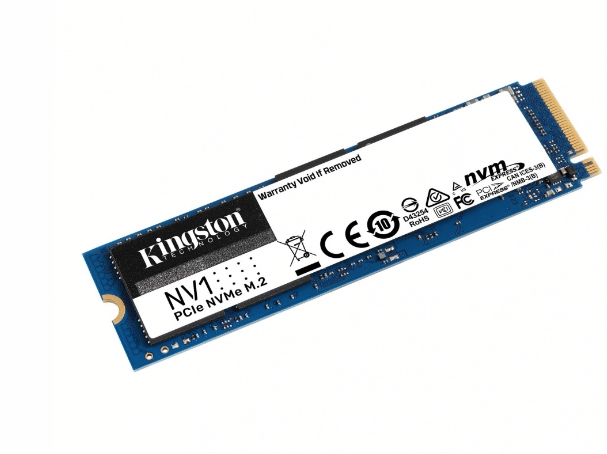 SNVS/1000g
