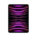 Ipad                                                                                                                                                                                                                     Pro 11 Wifi + Cell 128gb Space Gray Mnyc3lz/a -