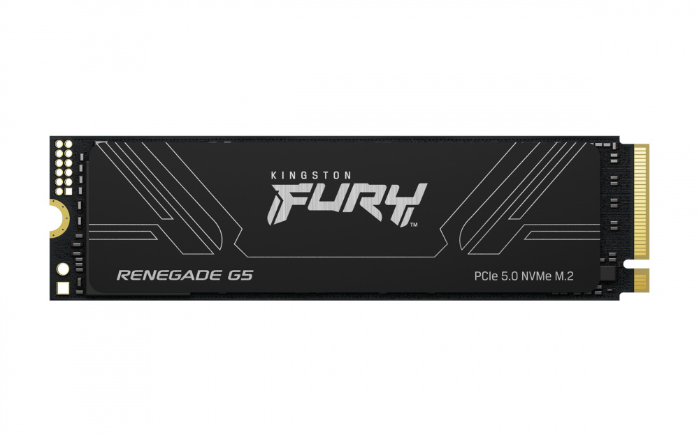 KINGSTON SSD 1024GB FURY RENEGADE G5 M.2 2280 NVMe PCI 5.0 x4 SFYR2S/1T0