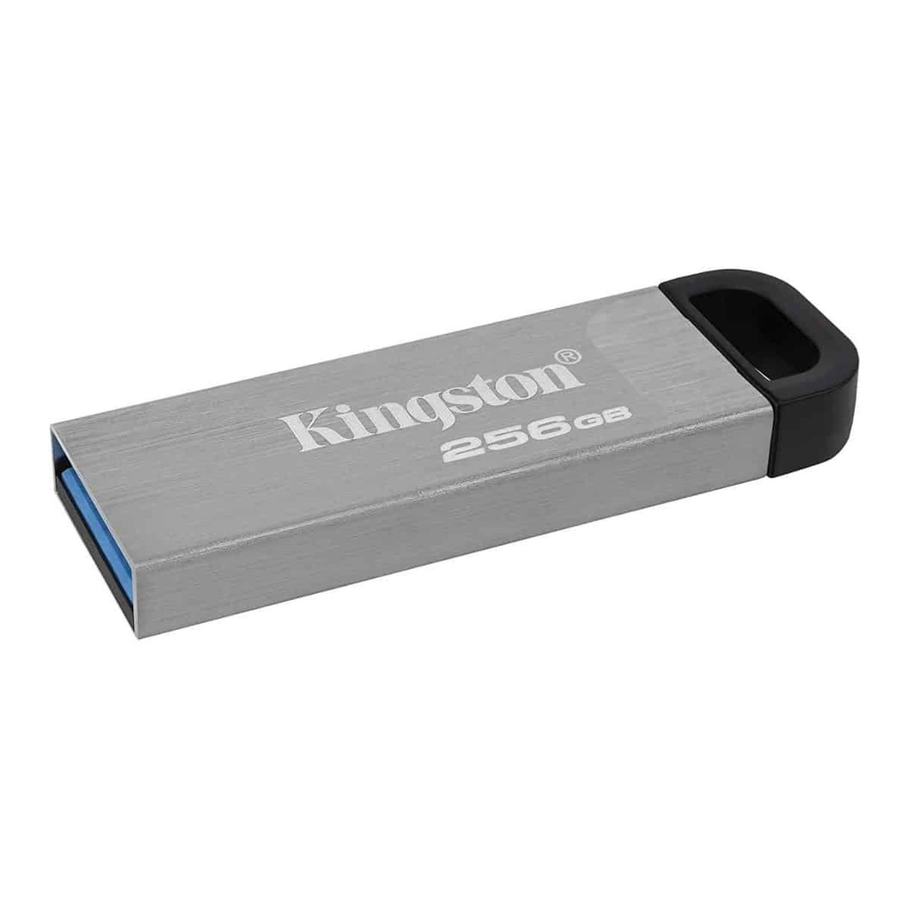 Memoria Flash Kingston Usb 256gb 3.2 Gen 1 Metalica (dtkn/256gb)
