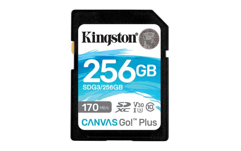 Memoria                                                                             Kingston Sdxc Canvas Go! Plus 170rc10 Uhs-i U3 V30(sdg3/256gb)