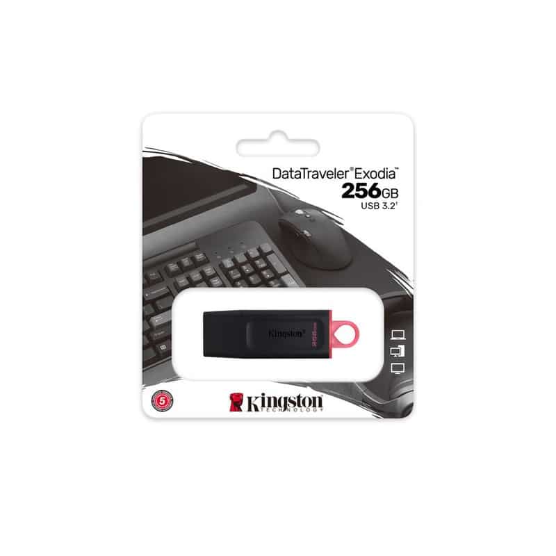 Memoria  Flash Kingston 256 Gb Usb 3.2 Gen 1 (dtx/256gb)