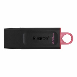 [MEMKGN2210] Memoria                                                                                                                                                                                                   Usb Kingston Technology Dtx/256gb - Negro, 256 Gb, Usb