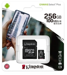 [MEMKGN1910] Micro                                                                                                                                                                                               Sd Kingston Technology Memkgn1910 - 256 Gb, Negro