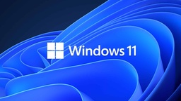 [dim-win11pro] Microsoft Oem Windows 11 Pro 64 Bits EspaÑol (fqc-10553) (pue)