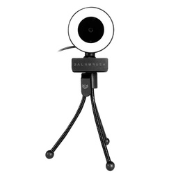 [BR-932974] Webcam                                                                                                                                                                                                                                                                                                                                                                                                                                                                                                                                                                                                                                                                                                                                                                                                                 Balam Rush Fhd1080p Usb Microfono Luz Led Stelarcw750 Br-932974