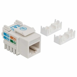 [766623210591-I] Jack  De Impacto Utp Cat6 Calibe 22 Al 26awg Intellinet Blanco 210591
